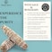 Sage Mixed Rosemary Smudge Stick Bundle - Pack of 3