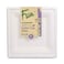 Fun BIO Square Plate 10x10 Inch10 Piece 