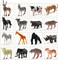 Generic Mumoobear Mini Toy Animal Figures Set, Plastic Wild Zoo Animals In The Jungle Small Safari Kids Toy Figures - 44 Pcs