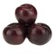 Imported Red Plum