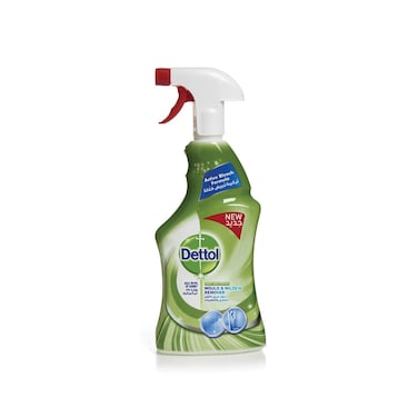 Dettol Anti-Bacterial Mould &amp; Mildew Remover Spray Bottle 500ml