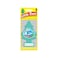 Paper Air Freshner Bayside Breeze