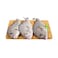 Fresh White Snapper Fish