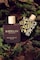 Rayhaan Royal Wood For Him Eau De Parfum Spray 100ml