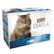 Eco Diana Cat Food Chunks &amp; Pate With Fish 12 Pieces, 1.2kg