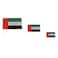 Ahlan United Arab Emirates Flag Set Small Medium Large 6 PCS