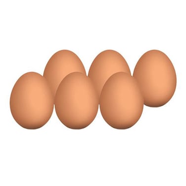 Winnies Organicanic Free Range Eggs X6 Pieces