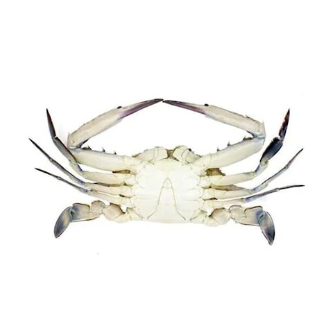 Big Male Crab - 4-6 Pieces/Kg