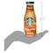 Starbucks Frappuccino Caramel Coffee Drink Bottle 250ml