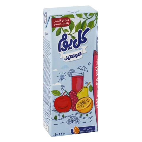Beyti Kolyoum Cocktail Juice 225Ml