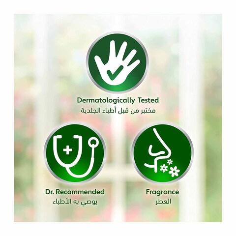ديتول المغذي غسول سائل يدين مضاد للجراثيم بزبدة الشيا والعسل - 200 مللي