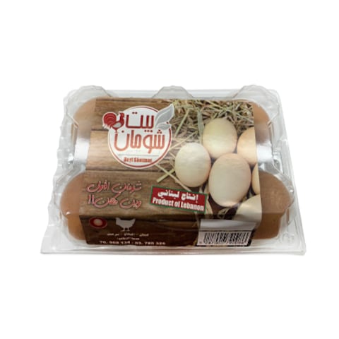 Shouman Brown Eggs 6 Pieces