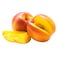Yellow Nectarine