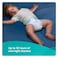 Pampers Mini Dry Unisex Jumbo Pack 38 Kg  62 Pcs.