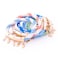 BiggDesign AnemosS Anchor Detailed Rope Bracelet - Blue