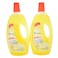 Carrefour Antibacterial Disinfectant Cleaner Assorted 900ml Pack of 2