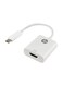 USB-C to HDMI Adapter White