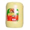 Golden Fry Vegetable Oil 20L