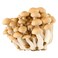 Brown Shimiji Mushroom 150g