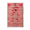Lipton Ice Tea Red Fruits Can 320ML