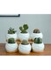 Generic 6 Pcs Geometric Succulent Planter, Set Of 6 White Ceramic Succulent Cactus Wave Design Planter Pots With Bamboo Tray(Plants Not Included)