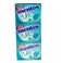 Mentos Pure Fresh Winter Green Chewing Gum 14g x Pack of 18