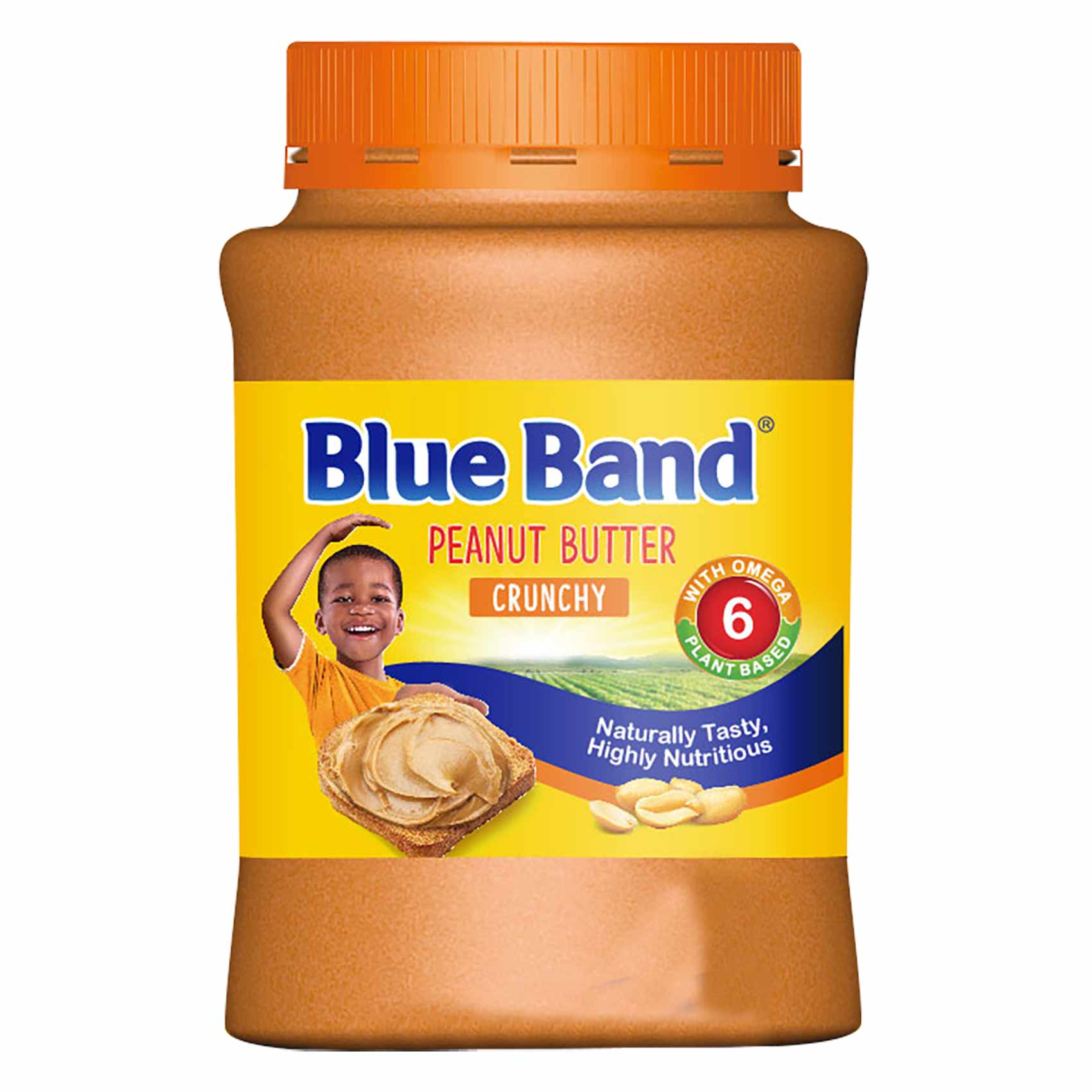 Blueband Peanut Butter (Crunchy)
