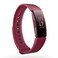 Fitbit Watch Inspire Sangria