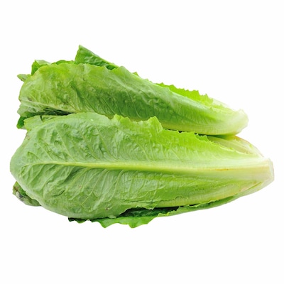 Cos Loose Lettuce Pack 2 Piece