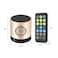 SQ-200 Quran Speaker Portable Quran Speaker MP3 Player 8GB TF FM Golden