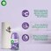 Air Wick Automatic Air Freshener Spray Refill, Lavender &amp; Chamomile Scent, 250ml x 2