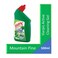 Harpic Toilet Cleaner Pine 500Ml