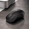 Rapoo 1620 Wireless Mouse, Black