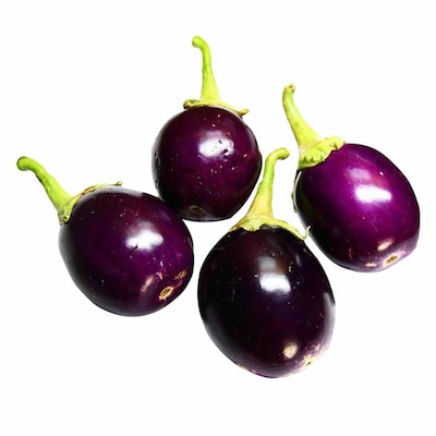Small Egg Plant