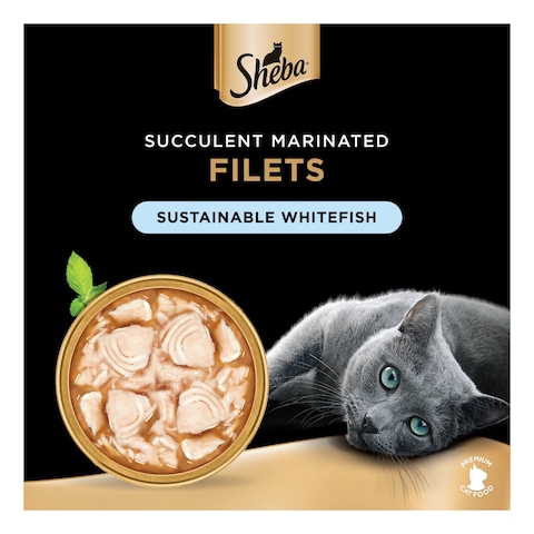 Sheba Filets Sustainable White Fish Wet Cat Food 60g