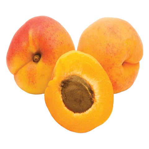 Apricot