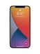 Generic Privacy Screen Protector For Apple iPhone 12 Pro Max Black