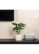 vsell24&nbsp;Round White Ceramic Flower Pots with Drainage Hole and Saucer Succulent Garden Pots For Indoor And Outdoor-Medium