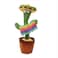 Dancing Cactus Toy