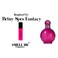Smell Me Perfume Oil 132 French Perfume Fragrances Long Lasting Scent 8 ml Type of Brtny Sprs Fantacy