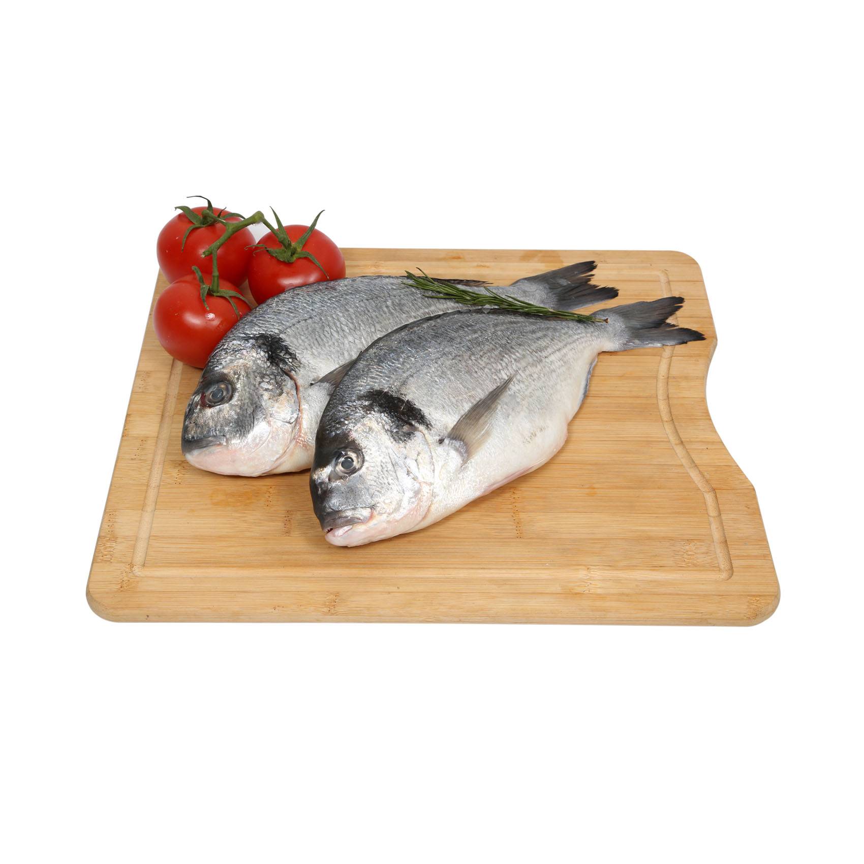 Fresh Sea Bream Fish