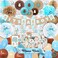 Rainmeadow Mega Set Teddy Bear Baby Shower Decorations For Boy, It's A Banner, Sash, Guestbook, Favour Stickers, Game Cards, Paper Lanterns, Honeycombs, Pom-Poms, Cake Toppers, Balloons