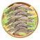 Frozen Shrimps 20/30