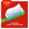 Colgate Toothpaste Max Cavity 35G