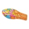 Bestway Inflatable Pop Ice Cream