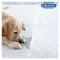 Dr. Beckmann Pet Stain and Odour Remover - 650 ml