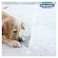 Dr. Beckmann Pet Stain and Odour Remover - 650 ml