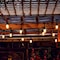 Feit Electric 48ft (14.6 m) LED Indoor/Outdoor String Lights Set- Includes 24 bulbs (plus 2 spares)