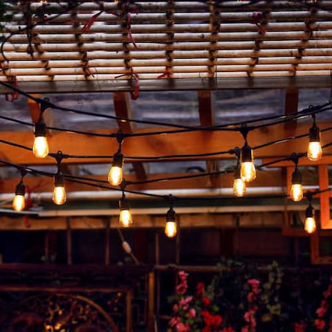 Feit Electric 48ft (14.6 m) LED Indoor/Outdoor String Lights Set- Includes 24 bulbs (plus 2 spares)