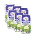 Buy Ice Cool Young Coconut Juice With Pulp 310ml Pack of 6 in UAE